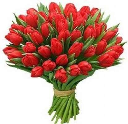 Букет тюльпанів "Червона хмаринка"