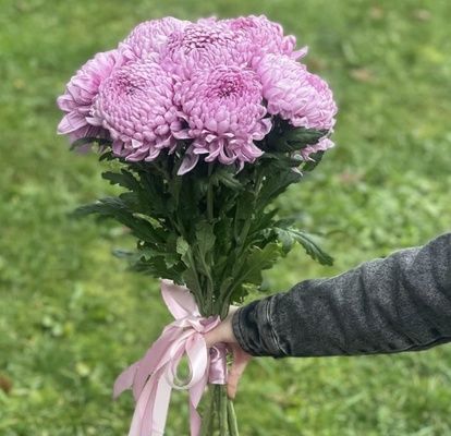 Букет із 7 рожевих хризантем.